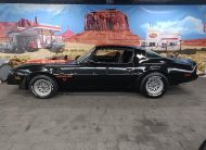 Pontiac Firebird Trans Am 1979