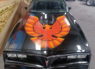 Pontiac Firebird Trans Am 1979