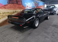 Pontiac Firebird Trans Am 1979